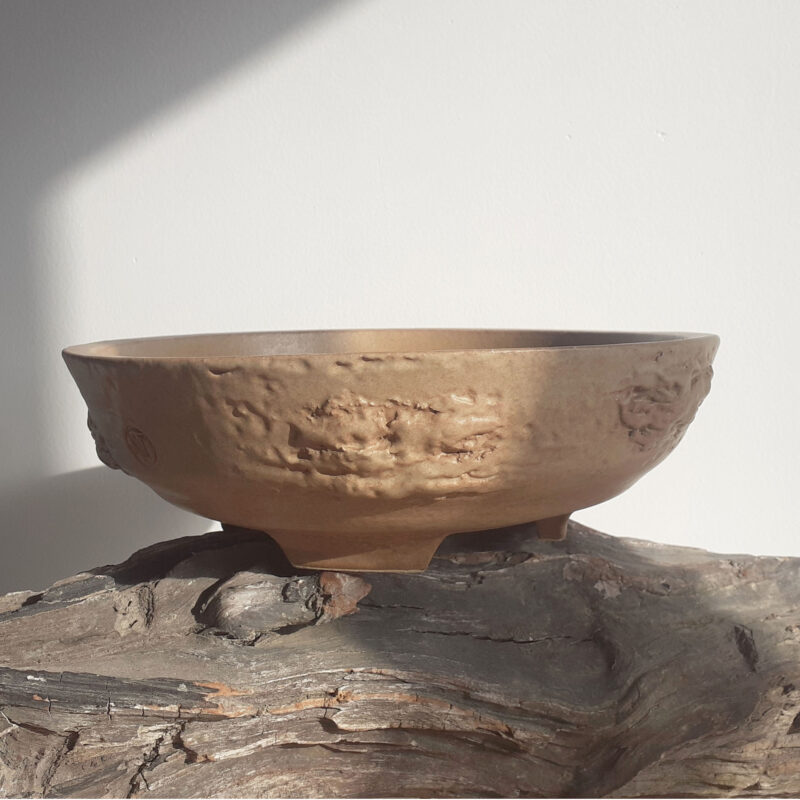 NIT-ART bonsai saksija.