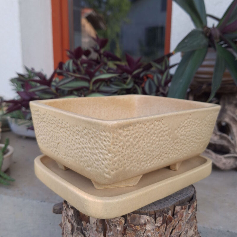 NIT-ART saksije za bonsai