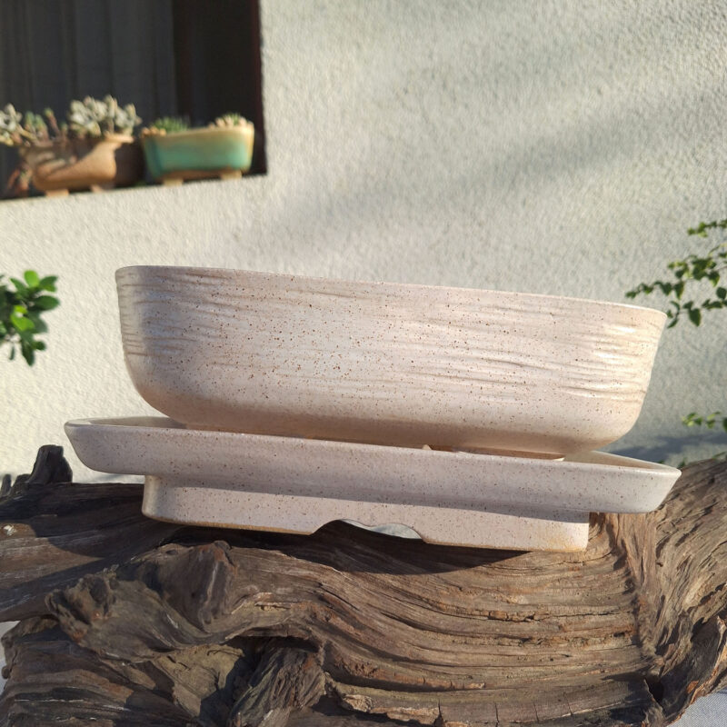 NIT-ART bonsai saksije
