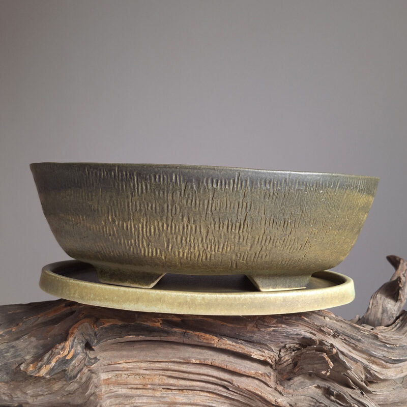 NIT-ART bonsai